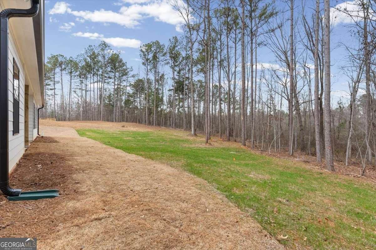 540 Presley Farm Parkway Rockmart - Photo 34