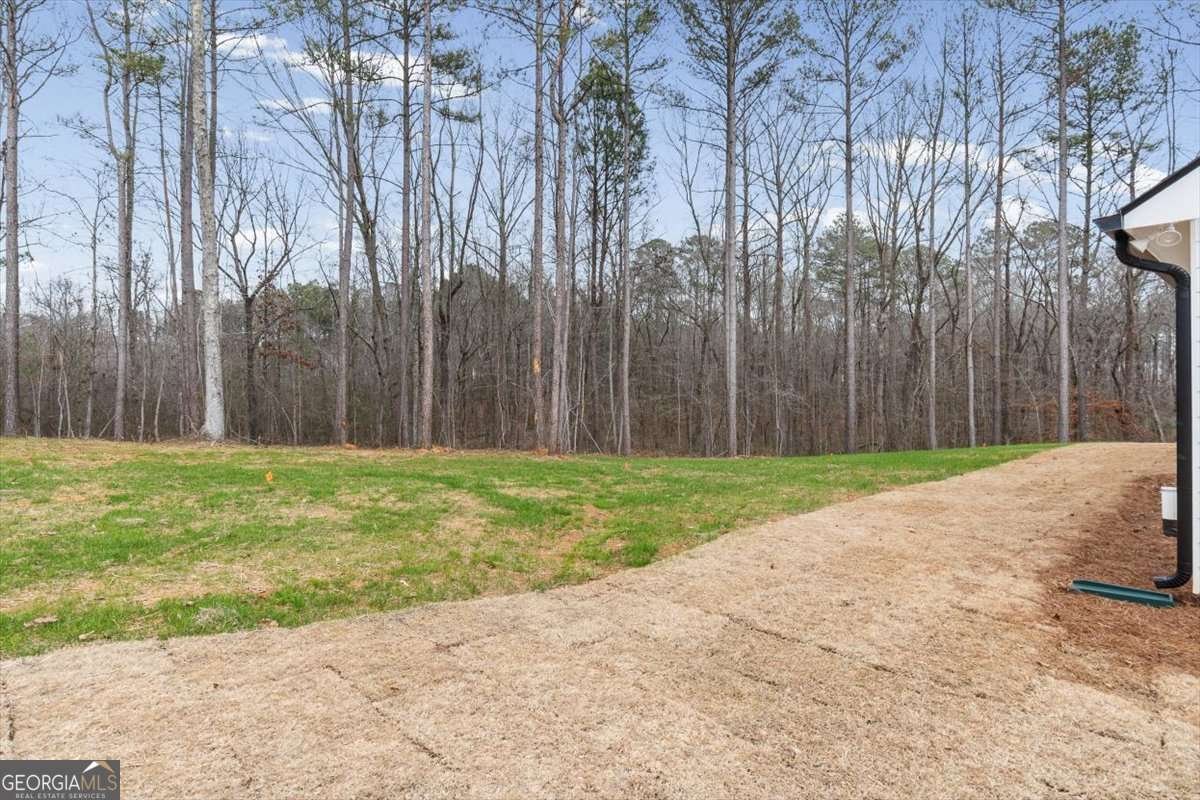 540 Presley Farm Parkway Rockmart - Photo 37