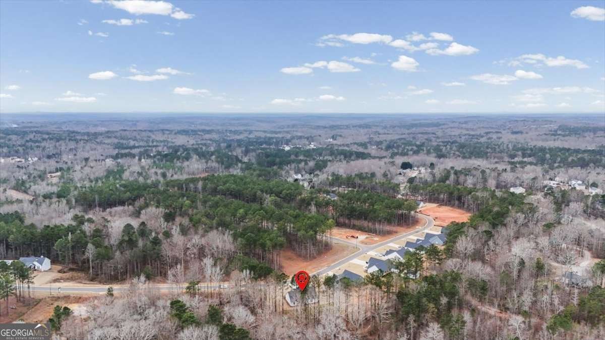 540 Presley Farm Parkway Rockmart - Photo 42