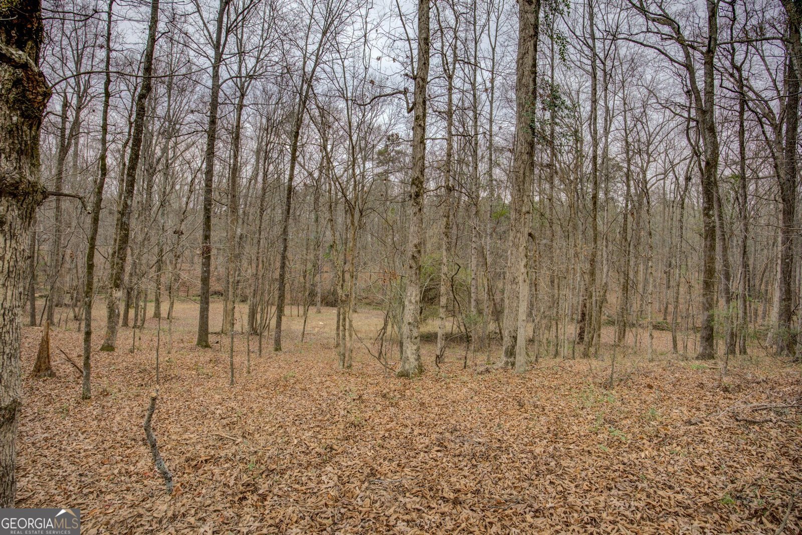 2049 Midway Church Road Newborn - Photo 68