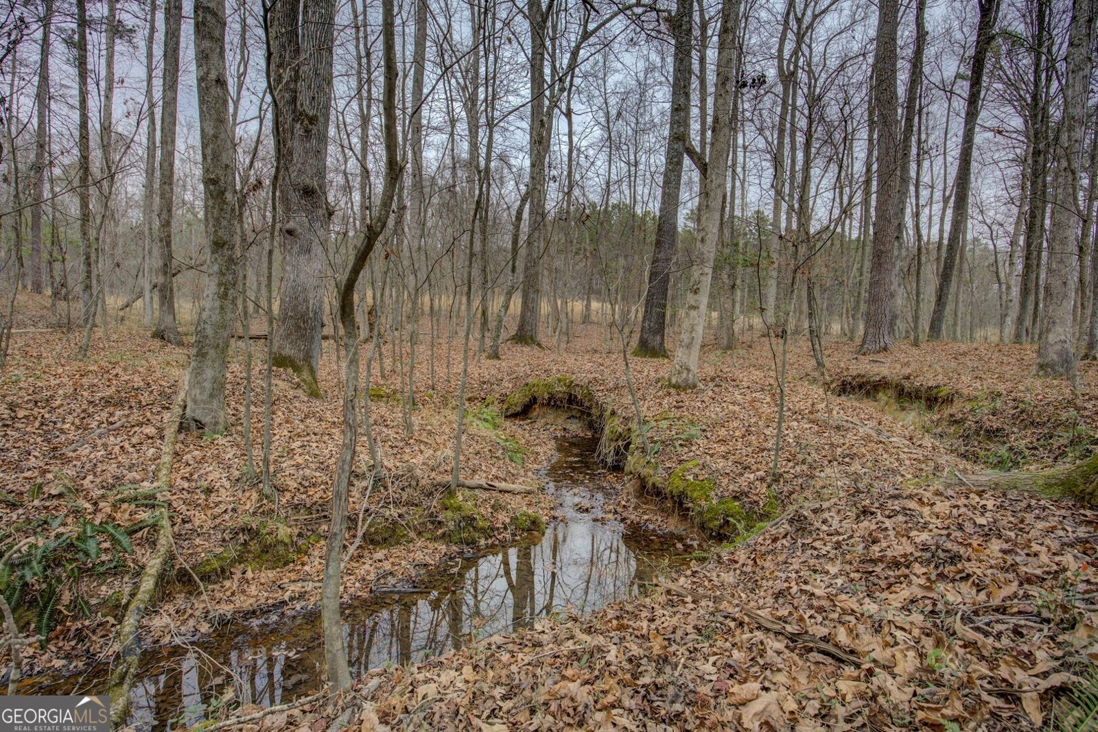 2049 Midway Church Road Newborn - Photo 69