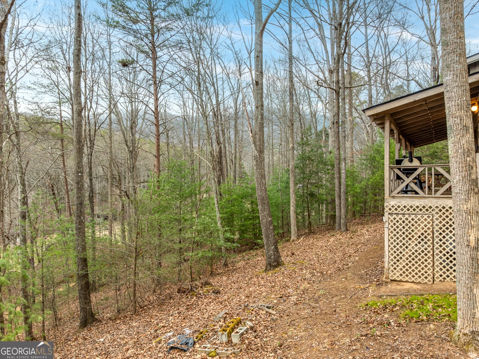 123 Martins Bluff Blairsville - Photo 24