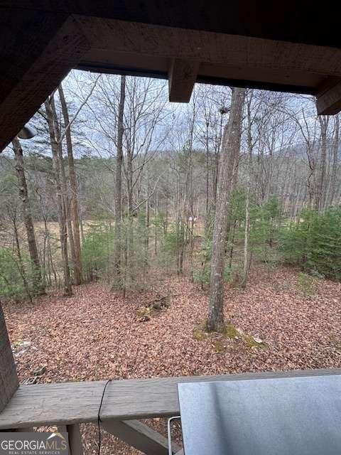 123 Martins Bluff Blairsville - Photo 38
