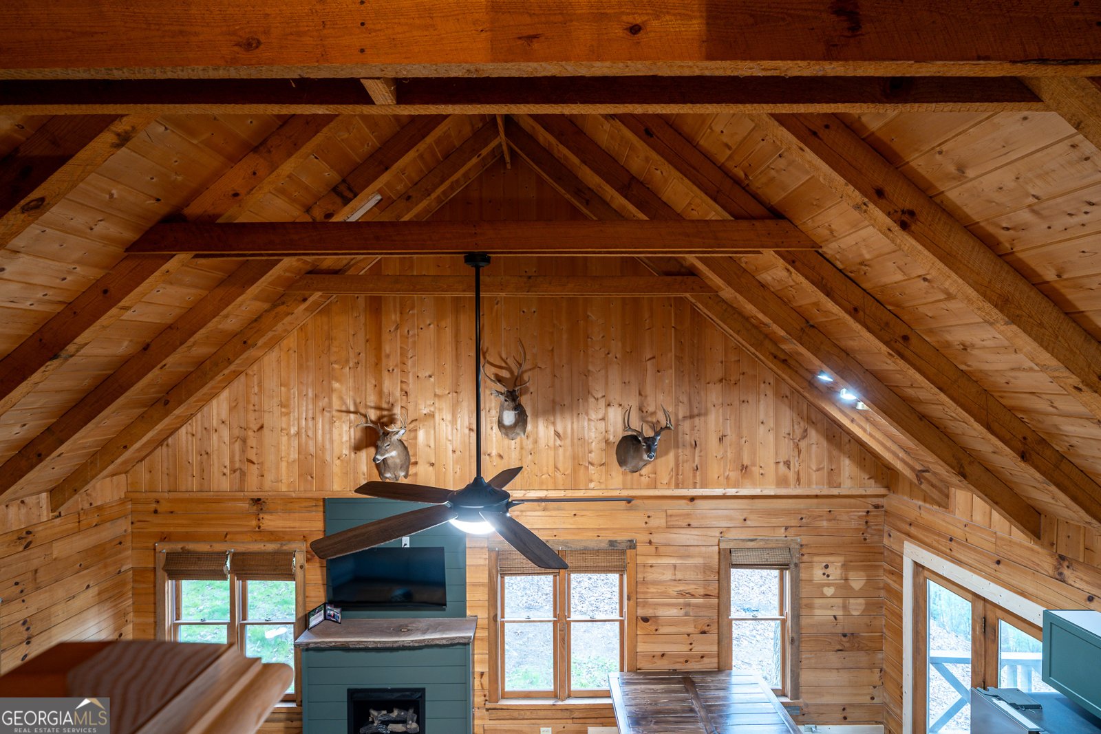 123 Martins Bluff Blairsville - Photo 8