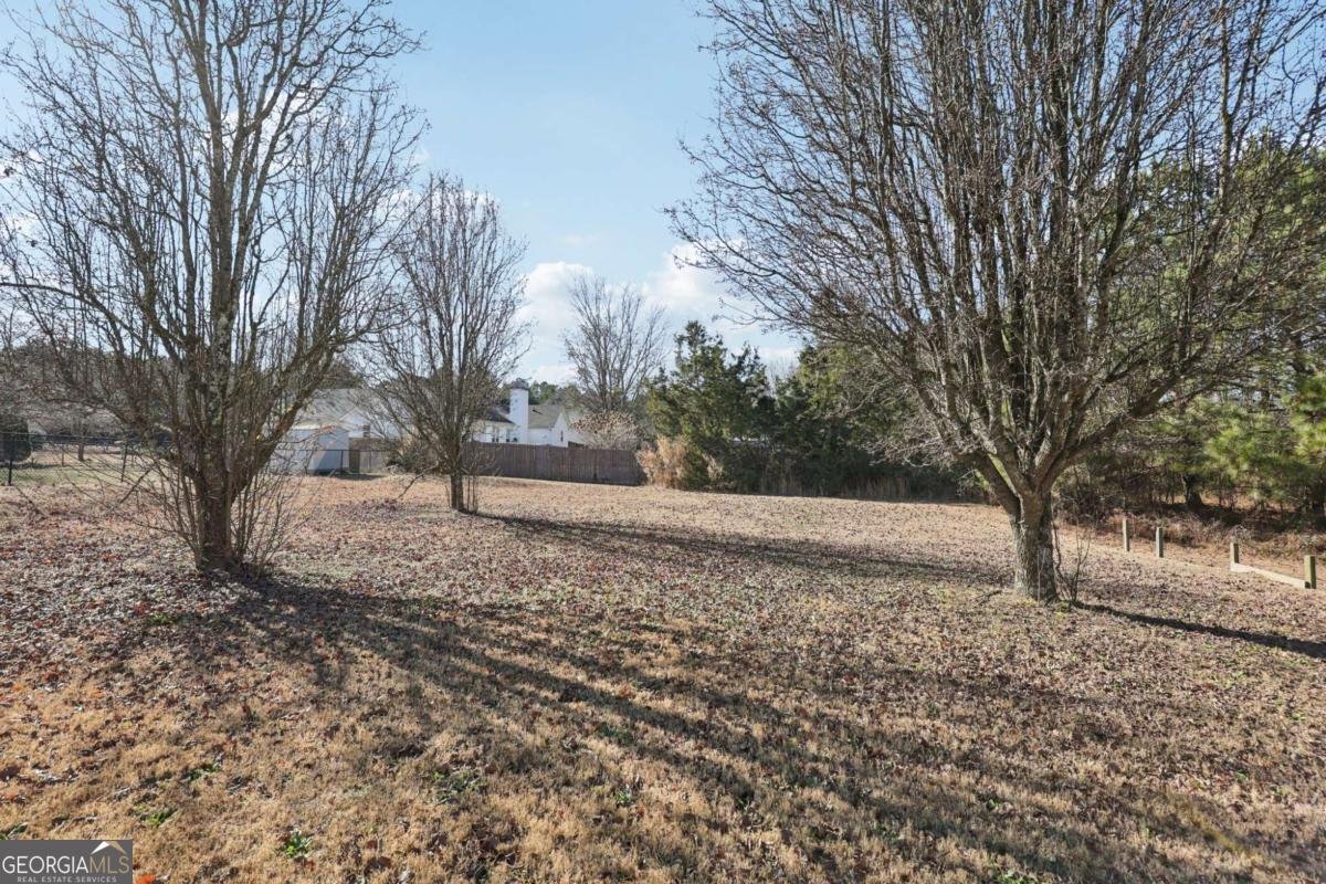 341 Windermere Drive Loganville - Photo 43