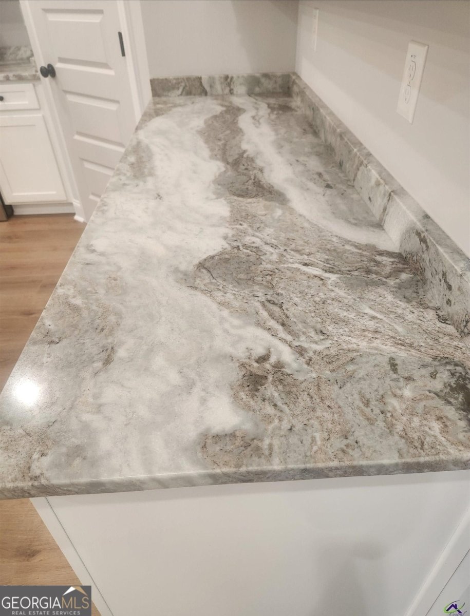 102 Silver Maple Court Byron - Photo 6