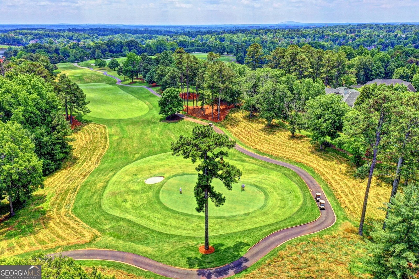 2918 Major Ridge Trail Duluth - Photo 66