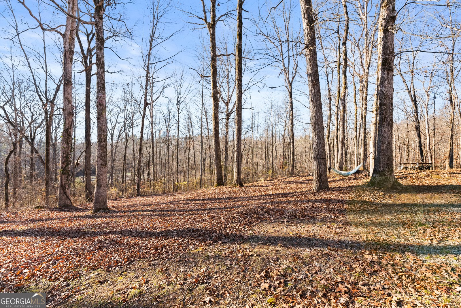 175 Blacks Mill Court Dawsonville - Photo 29