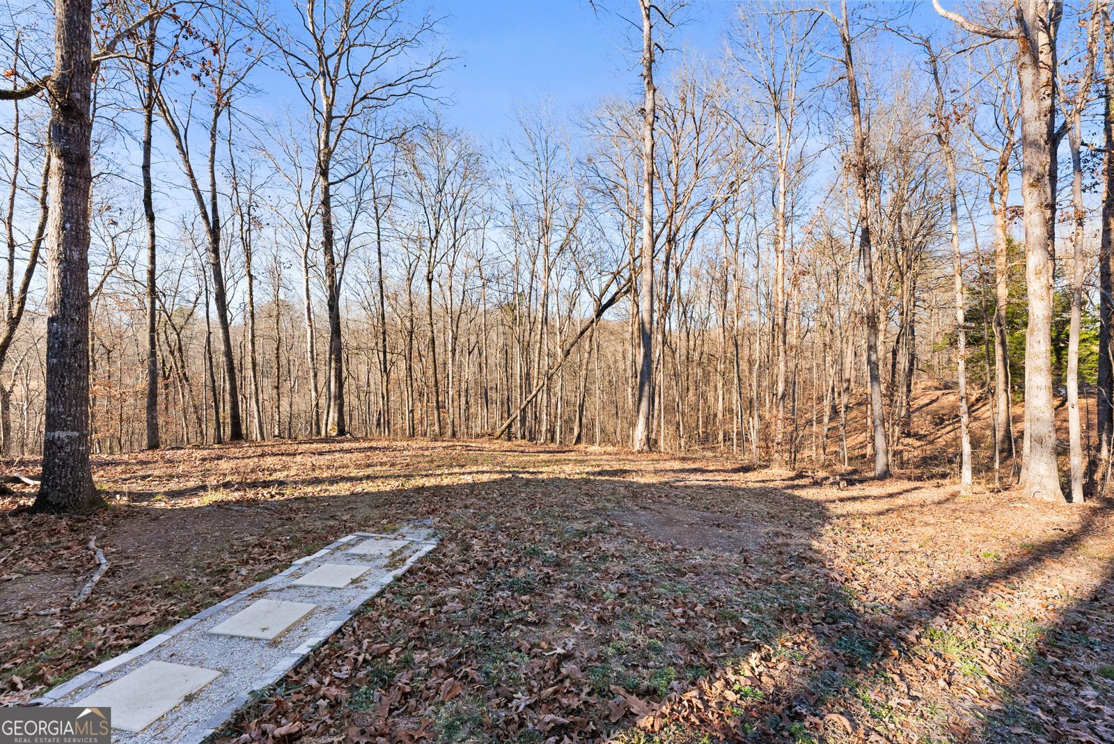 175 Blacks Mill Court Dawsonville - Photo 32