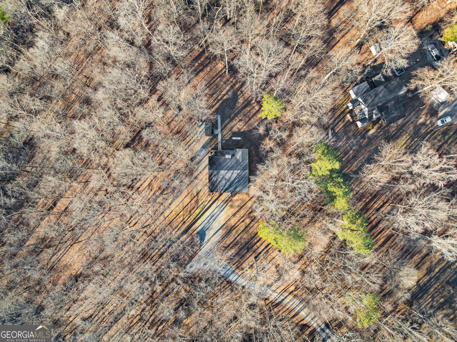 175 Blacks Mill Court Dawsonville - Photo 37