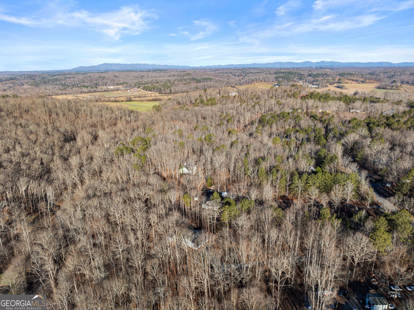175 Blacks Mill Court Dawsonville - Photo 41