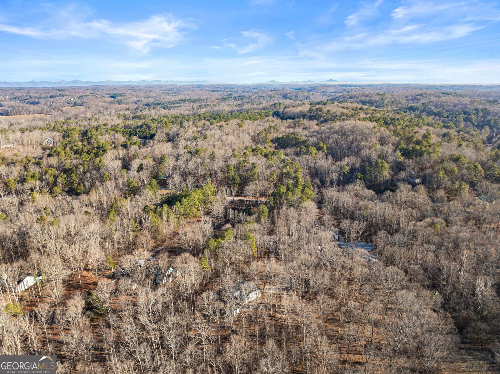 175 Blacks Mill Court Dawsonville - Photo 42