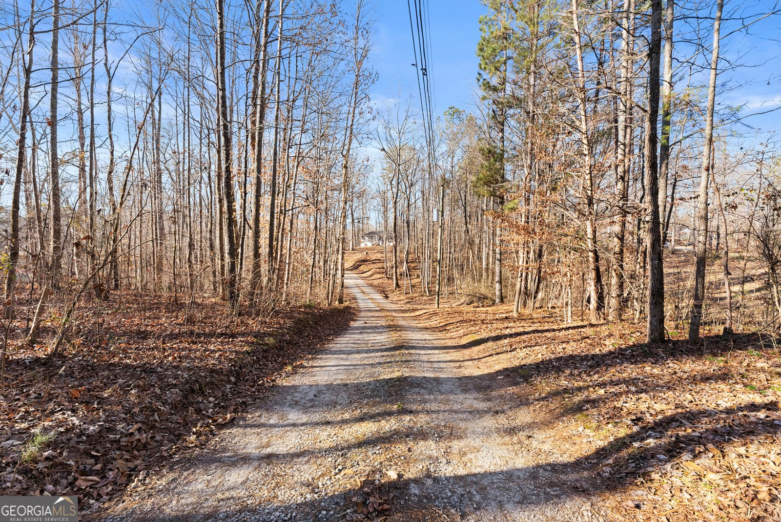 175 Blacks Mill Court Dawsonville - Photo 7