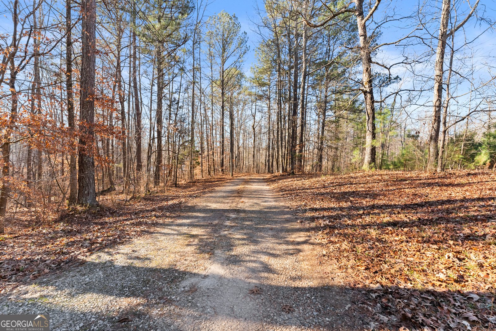 175 Blacks Mill Court Dawsonville - Photo 8