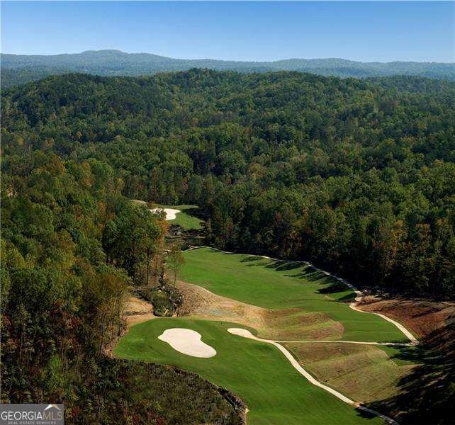 114 Ft Gibson Court Waleska - Photo 27