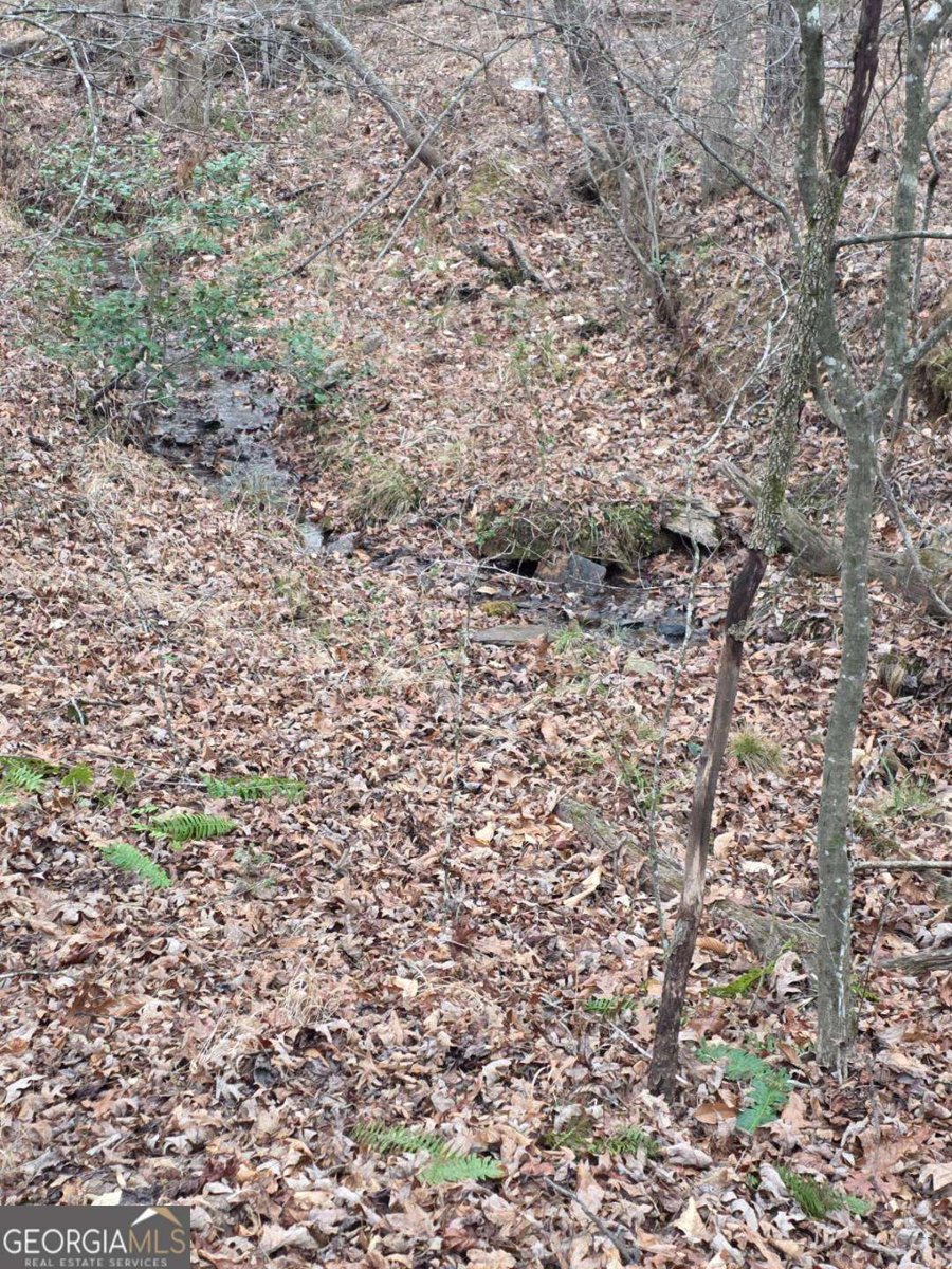 300 Burbano Creekside Landing Talking Rock - Photo 23