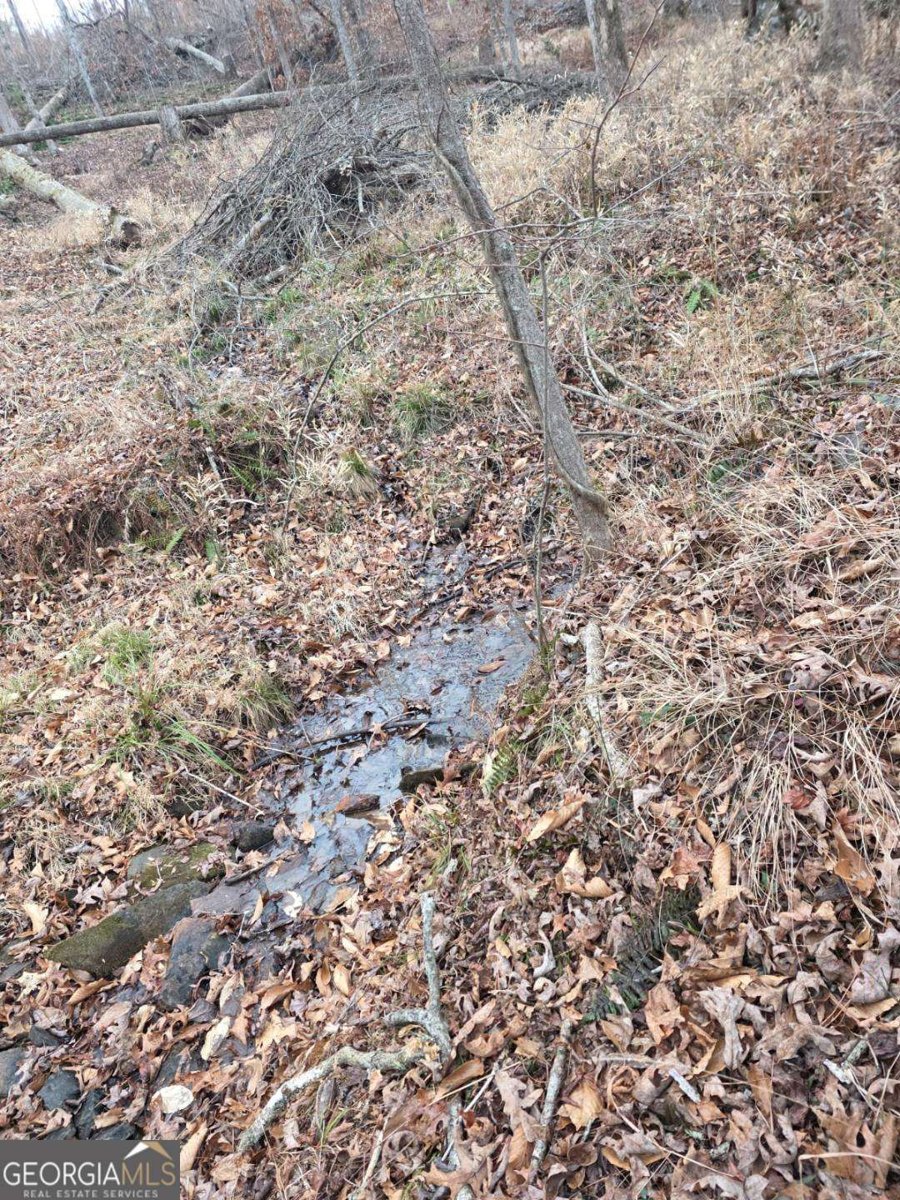 300 Burbano Creekside Landing Talking Rock - Photo 24