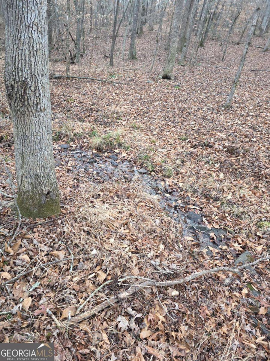 300 Burbano Creekside Landing Talking Rock - Photo 25