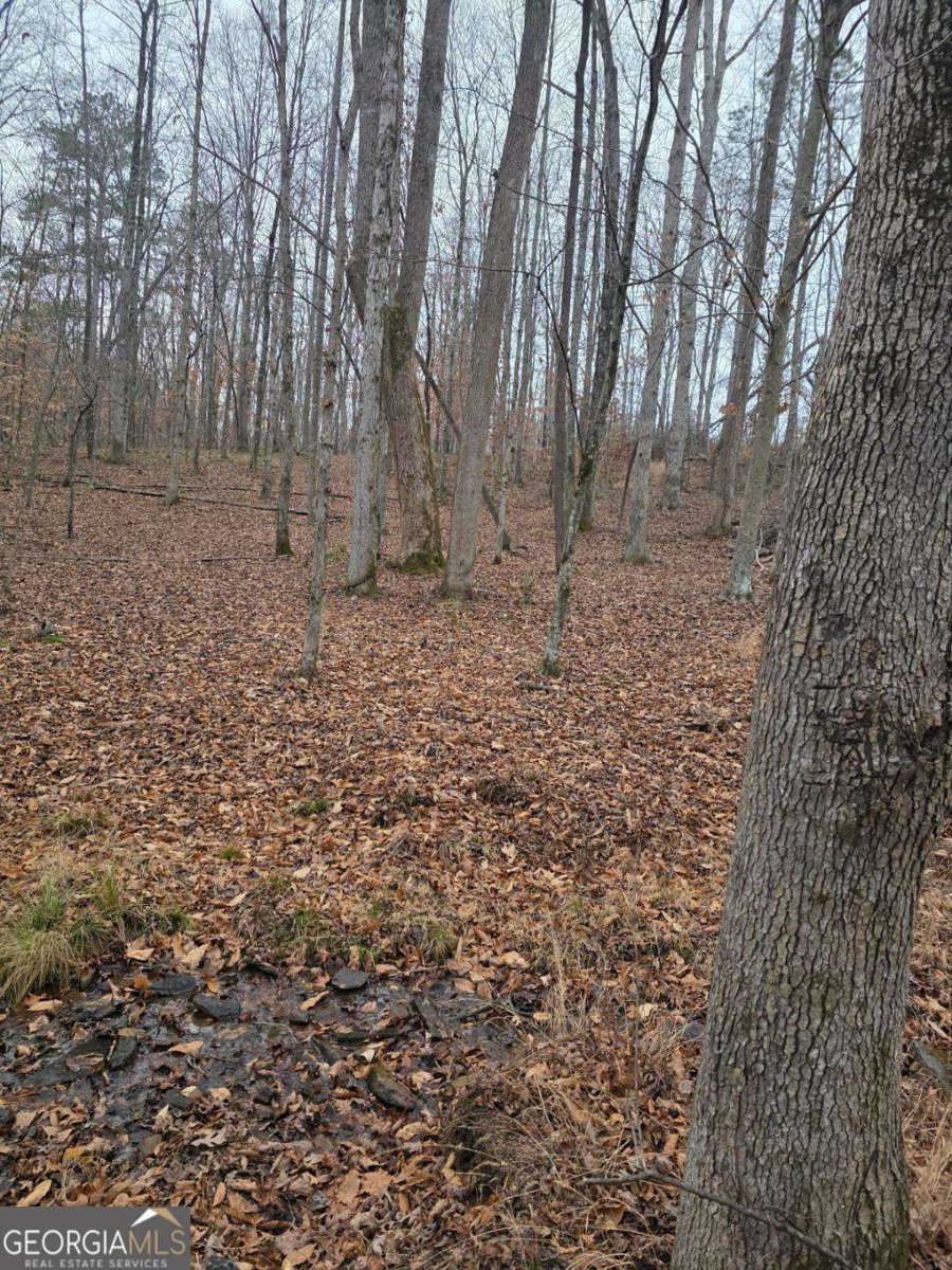 300 Burbano Creekside Landing Talking Rock - Photo 26