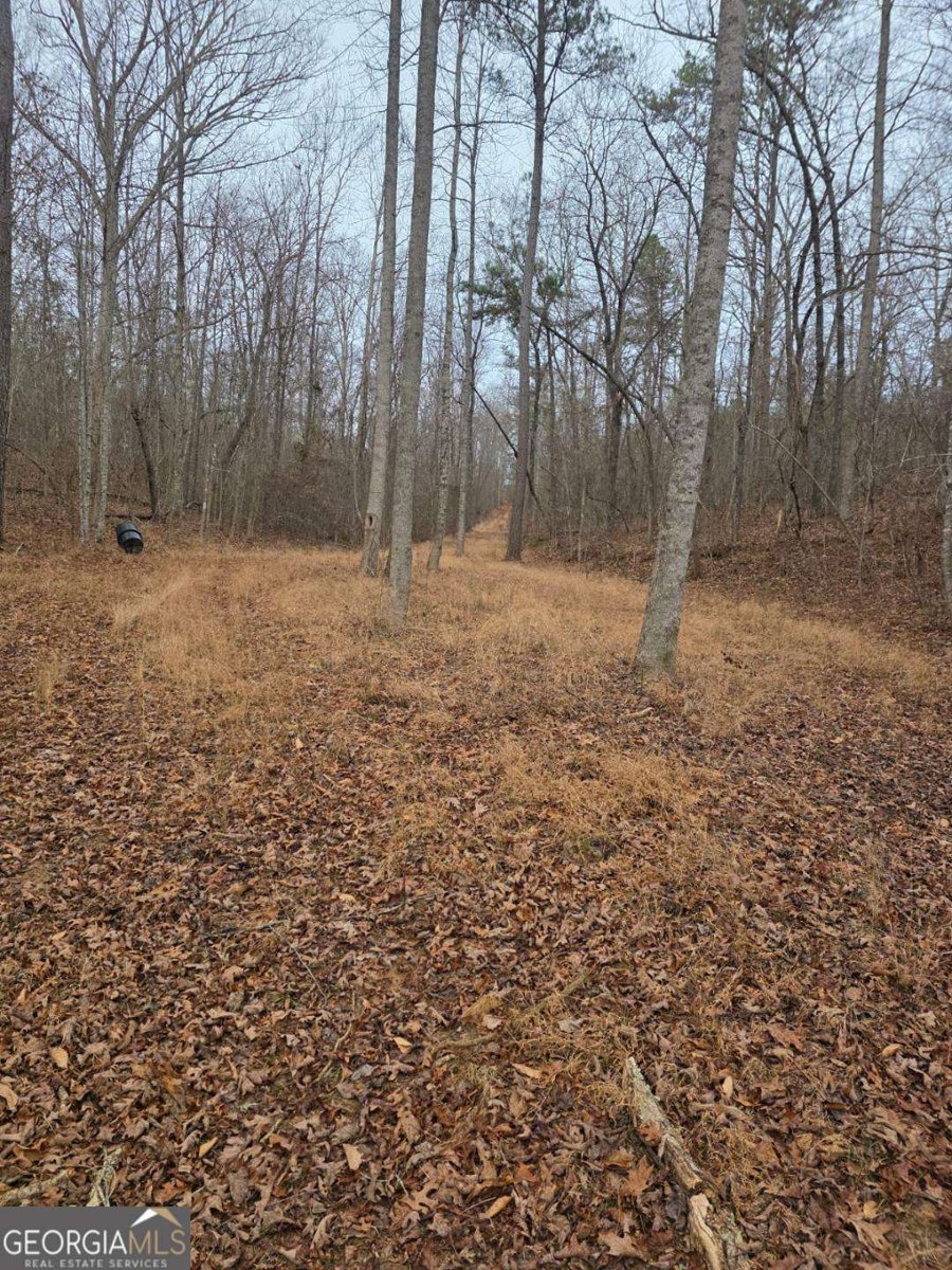 300 Burbano Creekside Landing Talking Rock - Photo 27