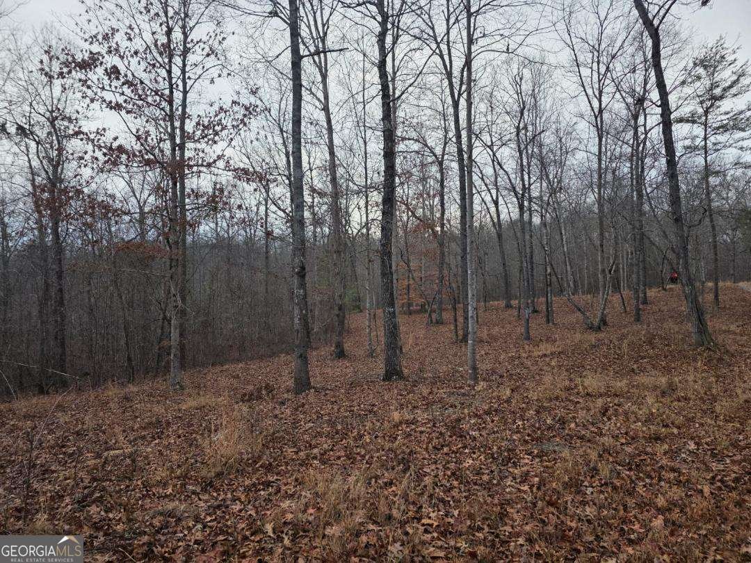 300 Burbano Creekside Landing Talking Rock - Photo 30