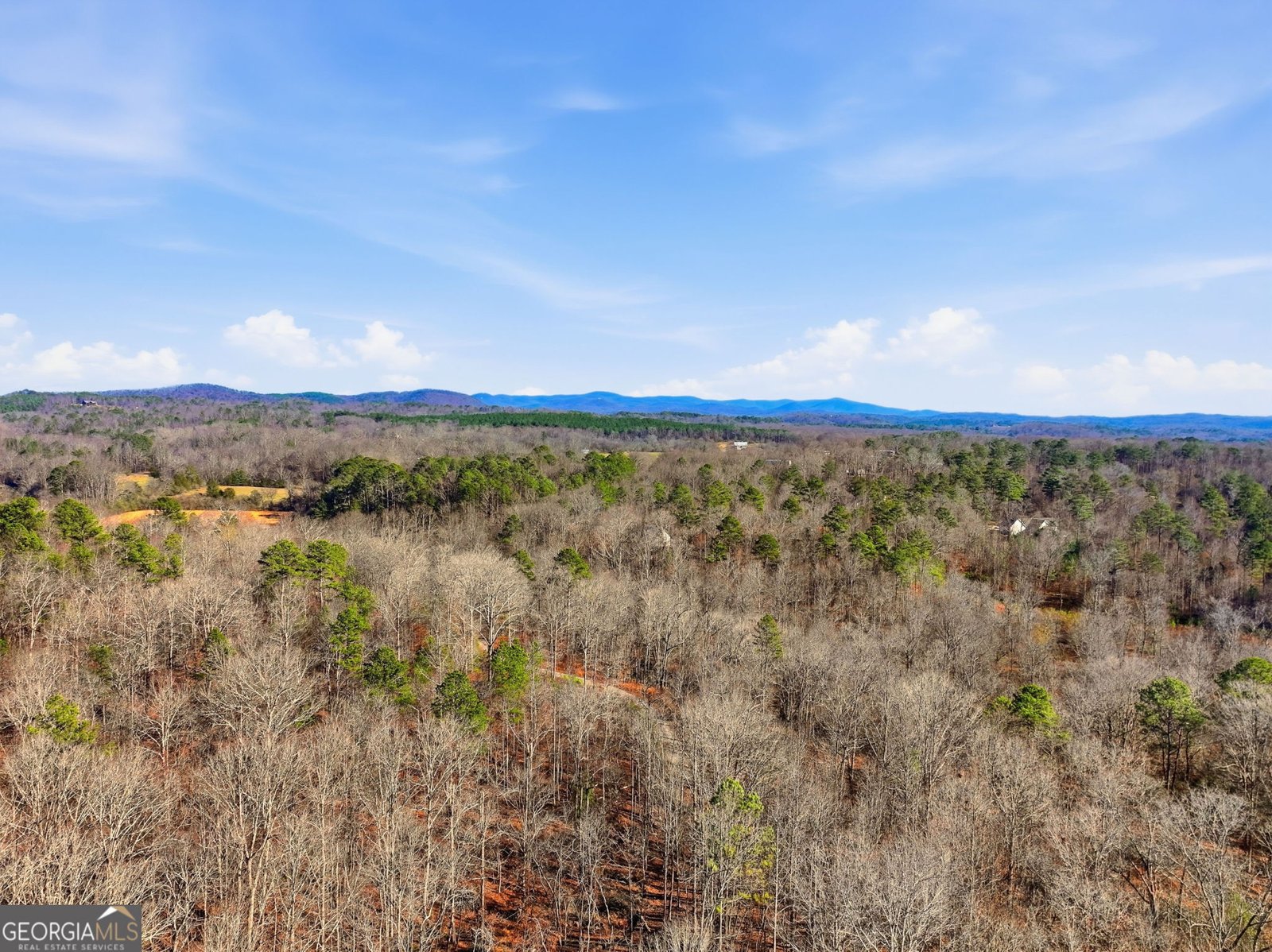 300 Burbano Creekside Landing Talking Rock - Photo 39