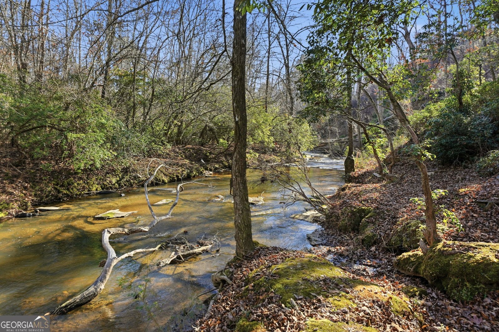 300 Burbano Creekside Landing Talking Rock - Photo 68