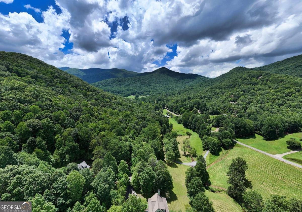 105 Evergreen Road Hiawassee - Photo 49