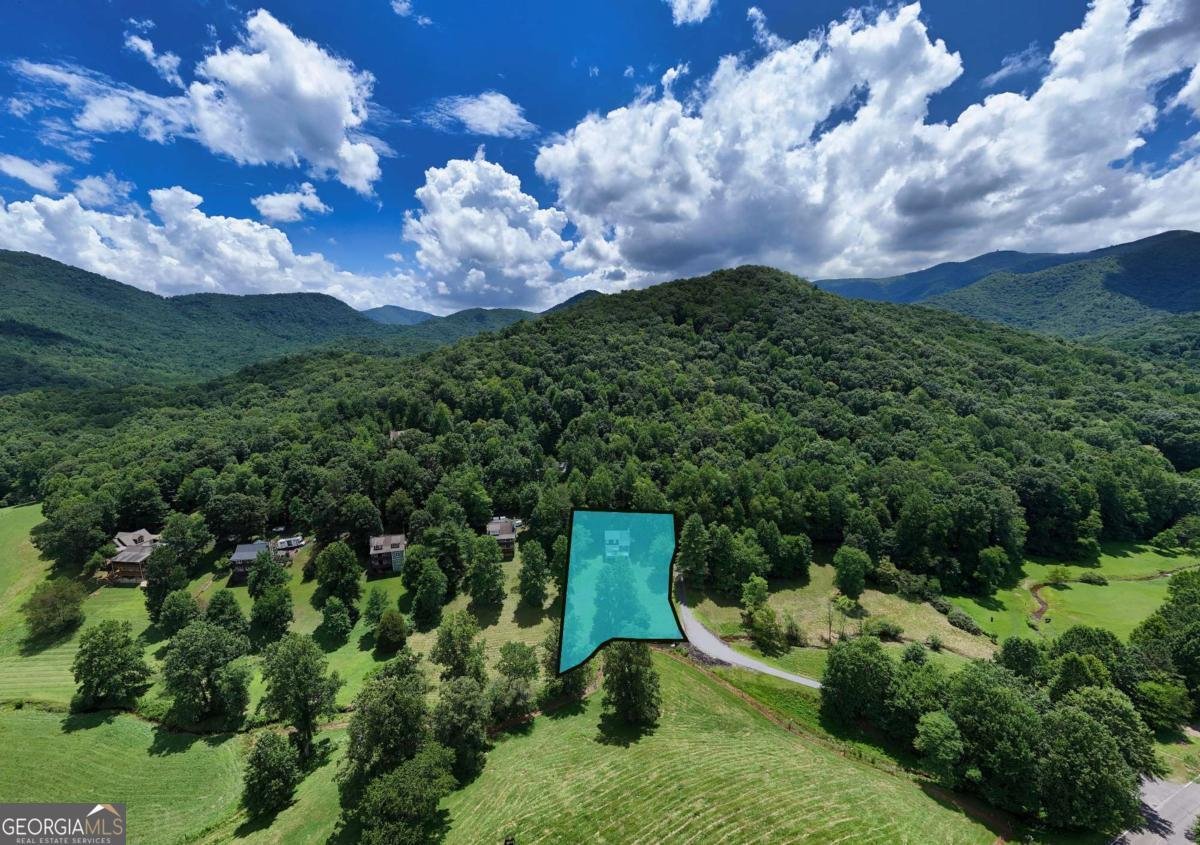 105 Evergreen Road Hiawassee - Photo 52