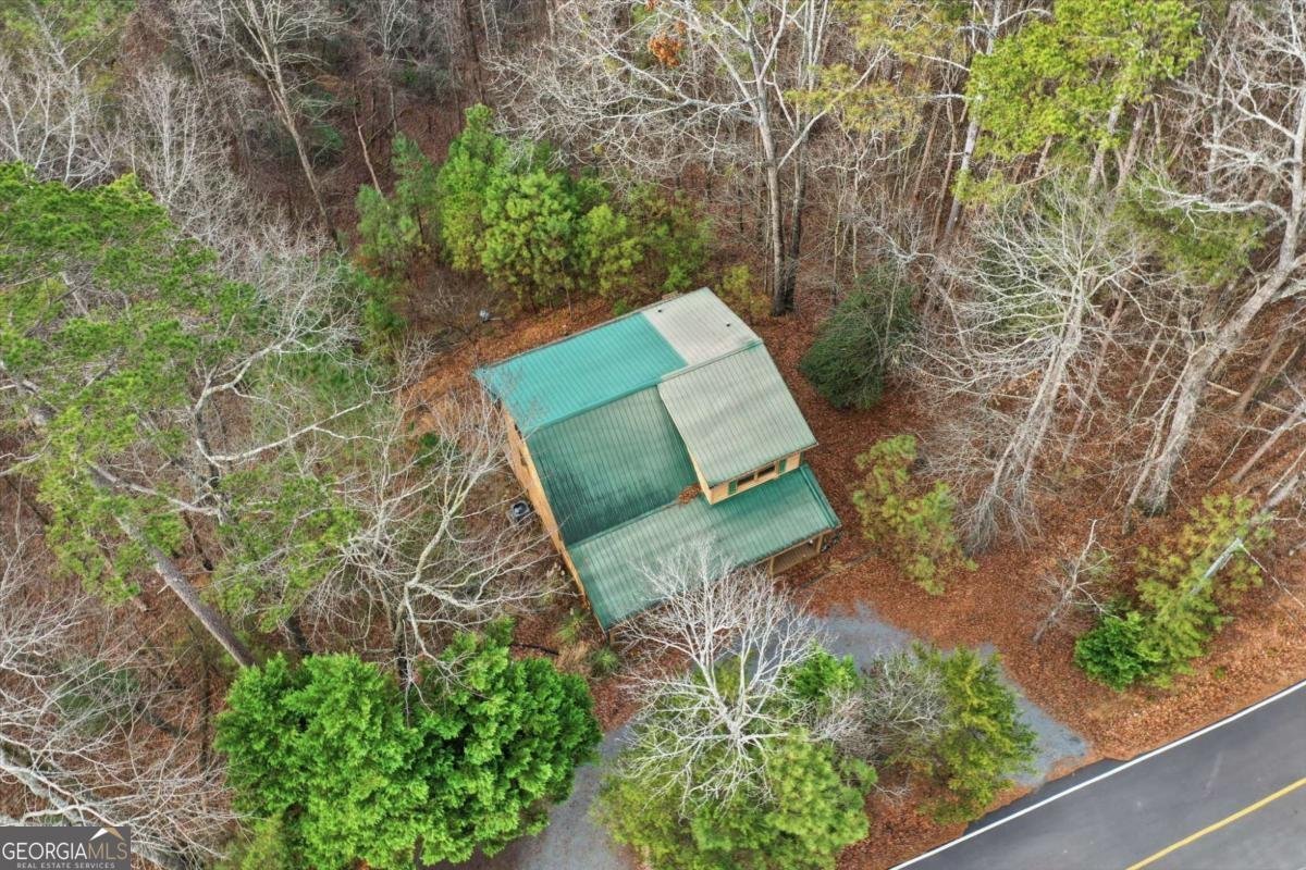 388 Palisade Drive Ellijay - Photo 24