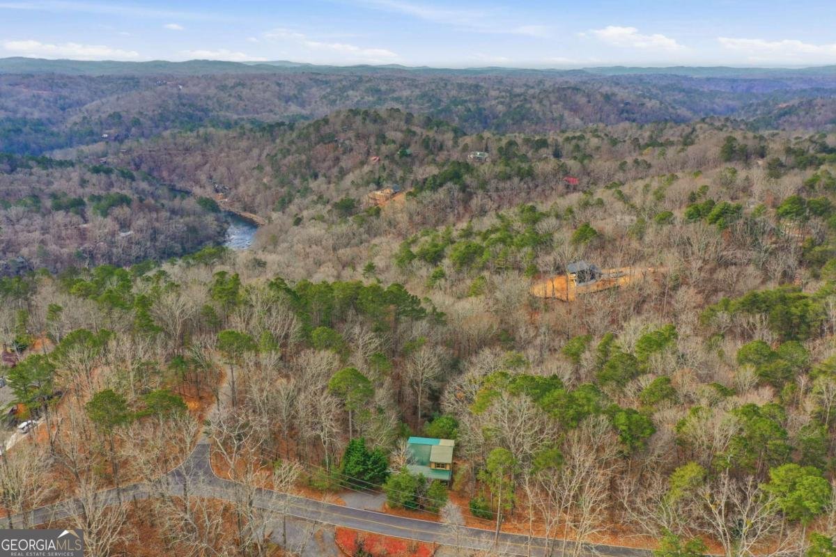 388 Palisade Drive Ellijay - Photo 33