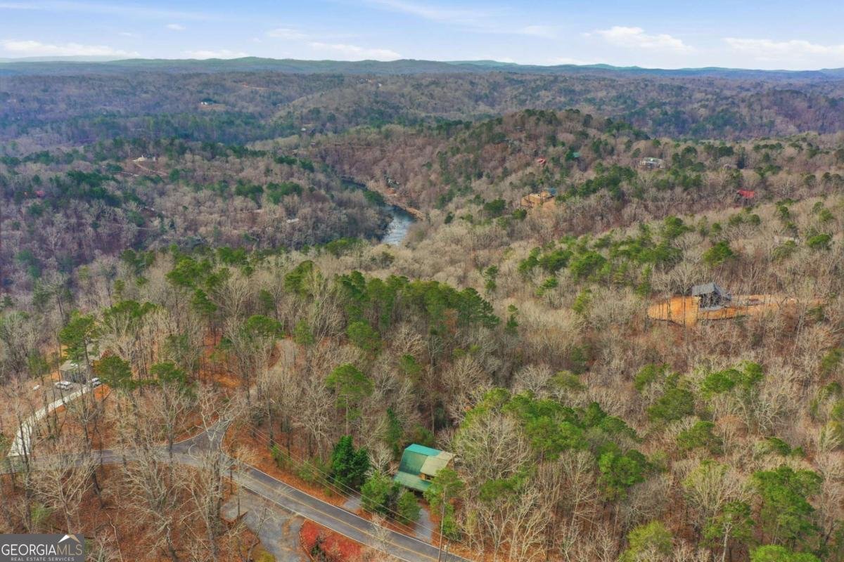 388 Palisade Drive Ellijay - Photo 34