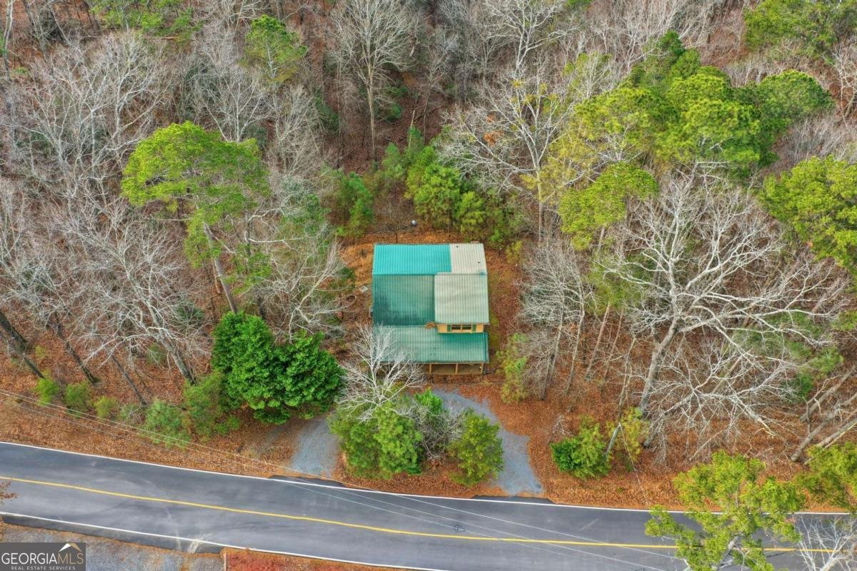 388 Palisade Drive Ellijay - Photo 39