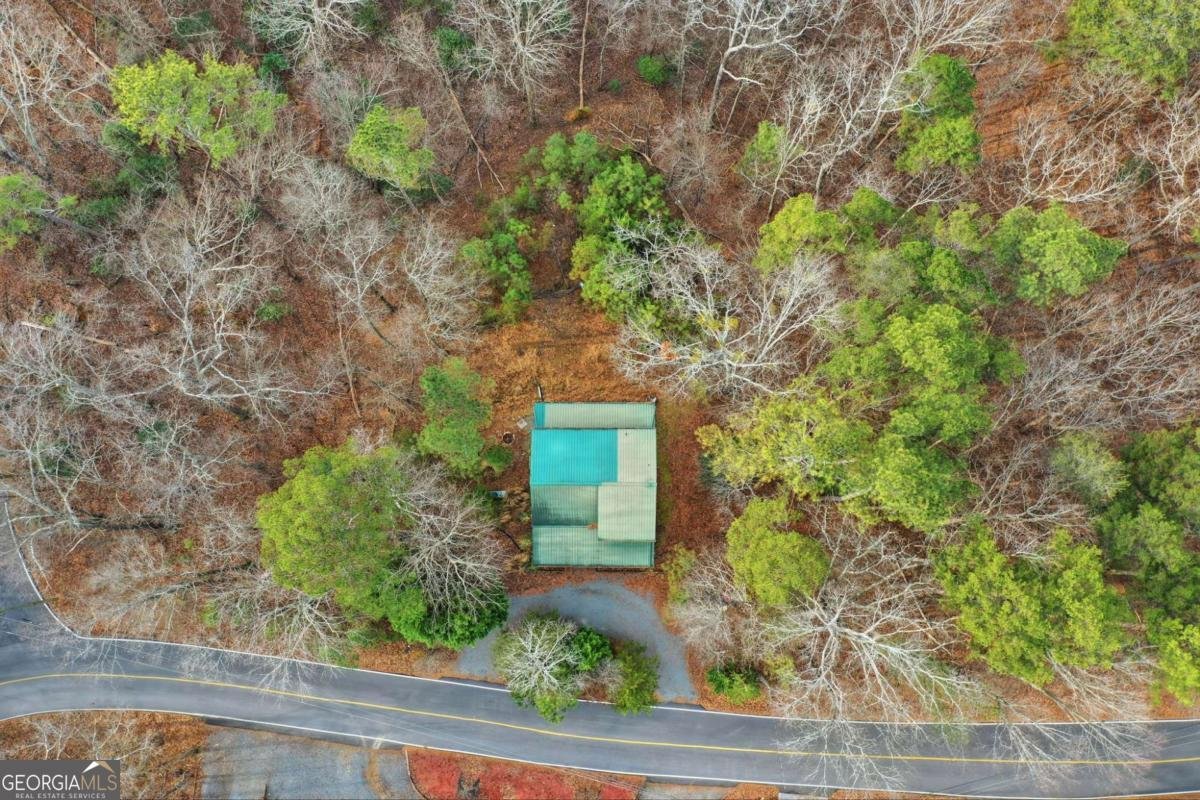 388 Palisade Drive Ellijay - Photo 42