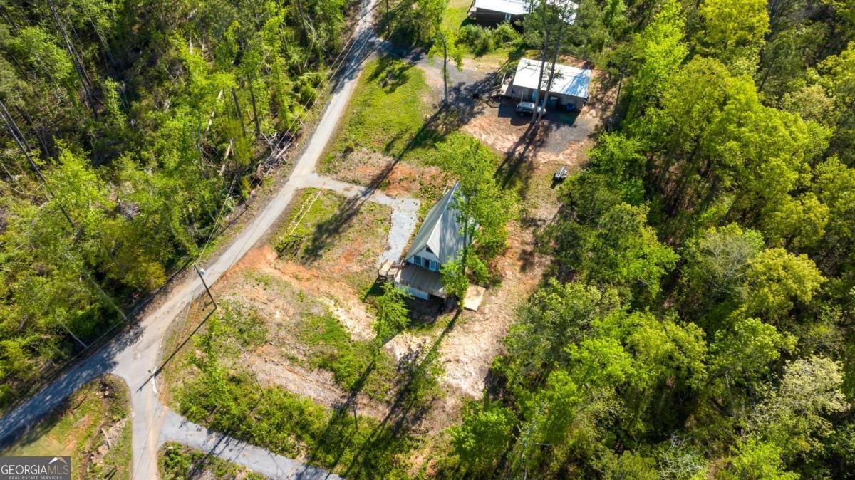 9 Cherokee Resort Road Pine Mountain - Photo 26