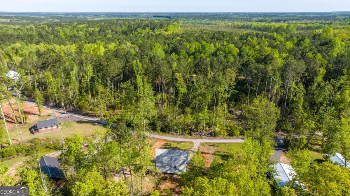 9 Cherokee Resort Road Pine Mountain - Photo 32