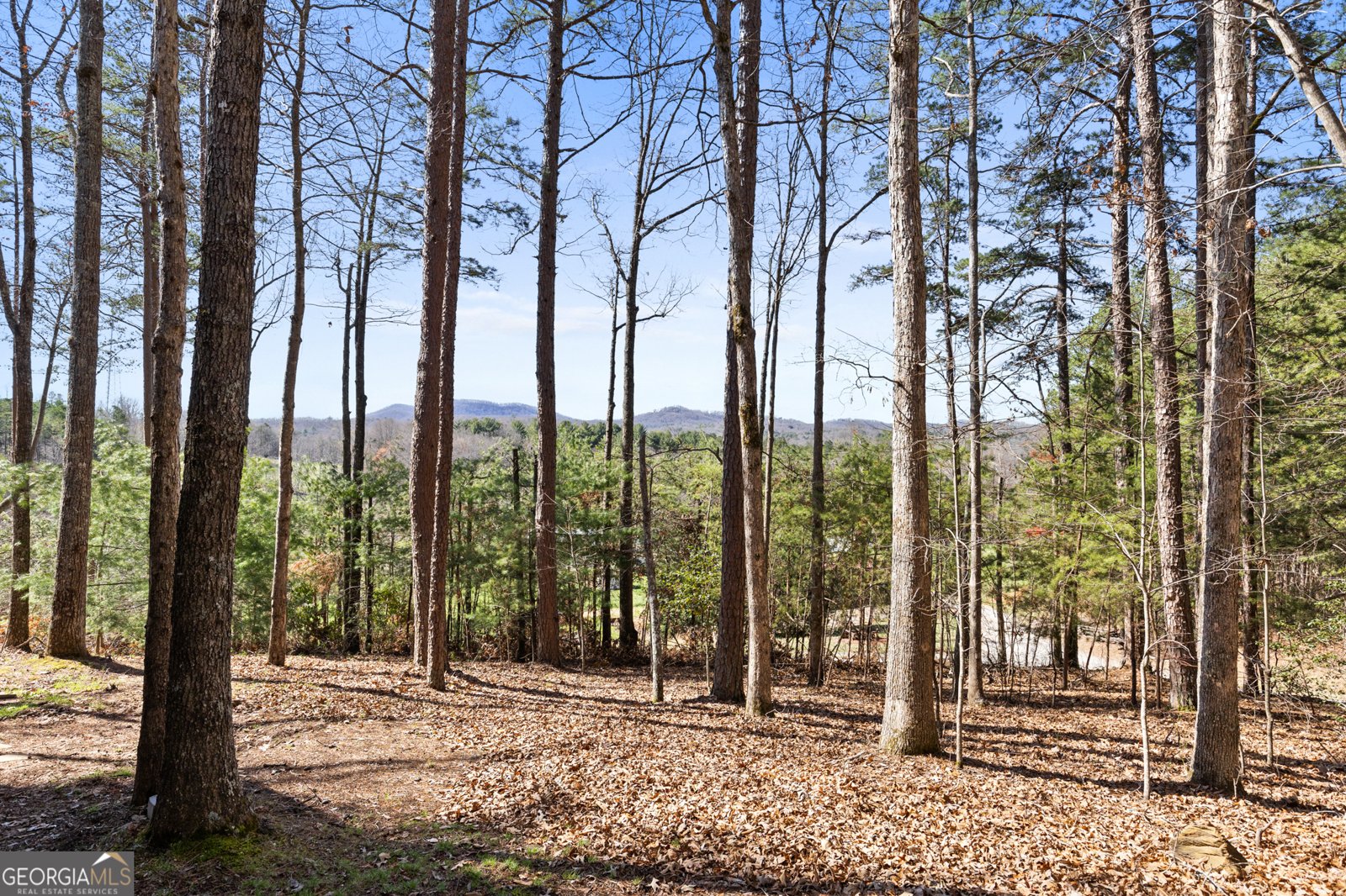5240 Squirrel Hunting Road Morganton - Photo 38