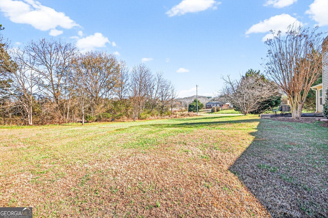 1501 Cardinal Lane Winder - Photo 33