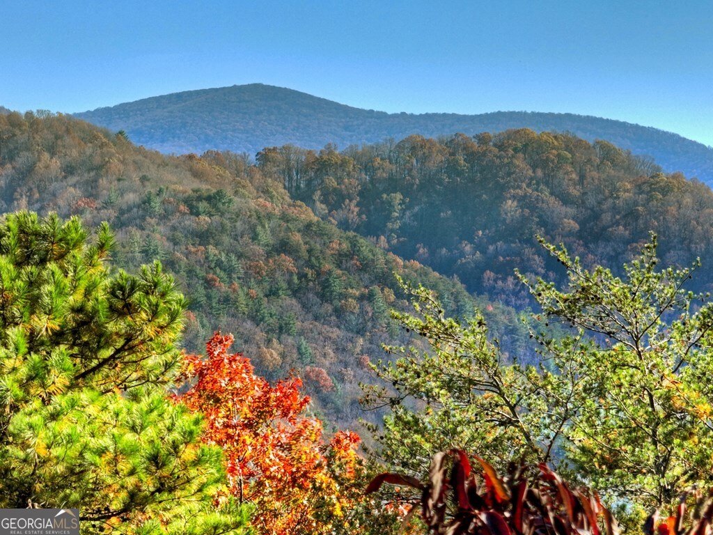 146 Rosiey Lane Blue Ridge - Photo 11