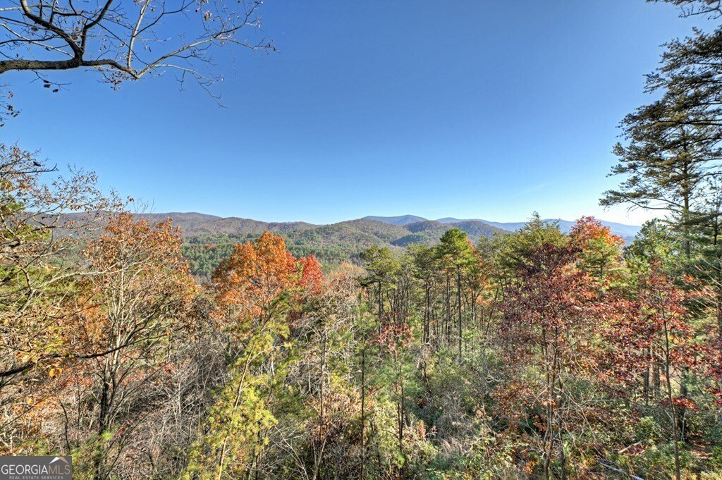 146 Rosiey Lane Blue Ridge - Photo 20