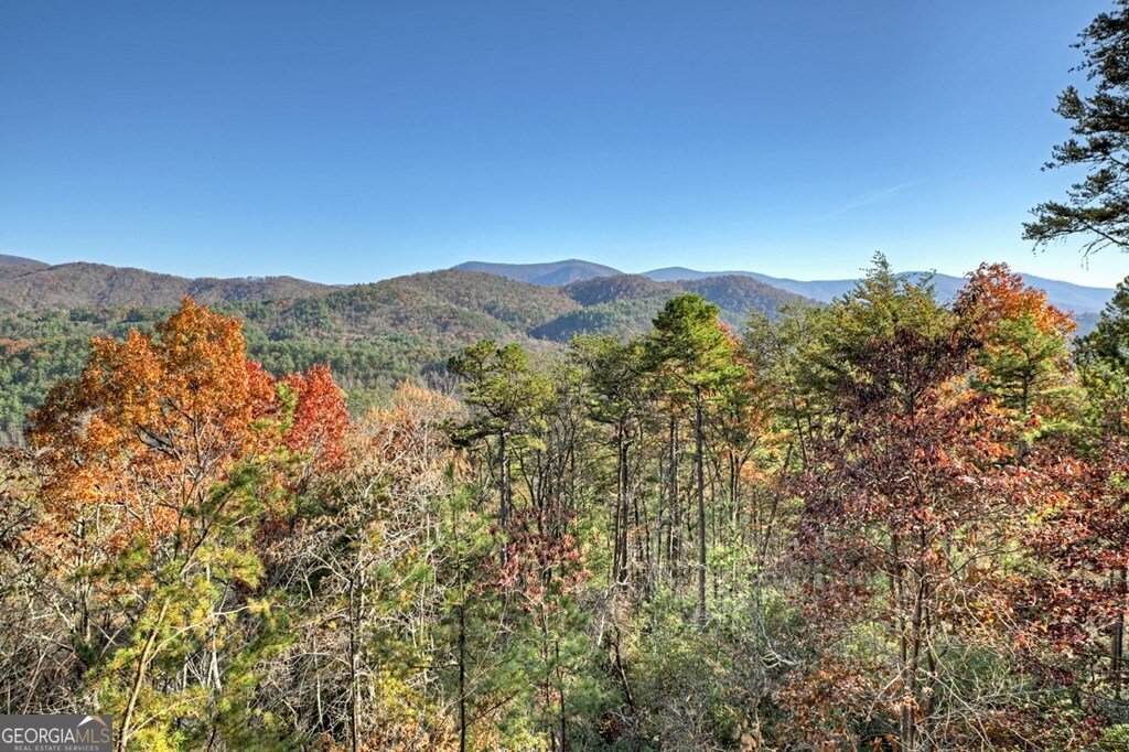 146 Rosiey Lane Blue Ridge - Photo 21