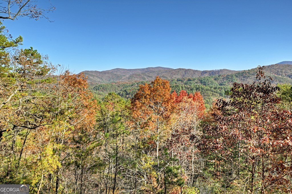 146 Rosiey Lane Blue Ridge - Photo 22