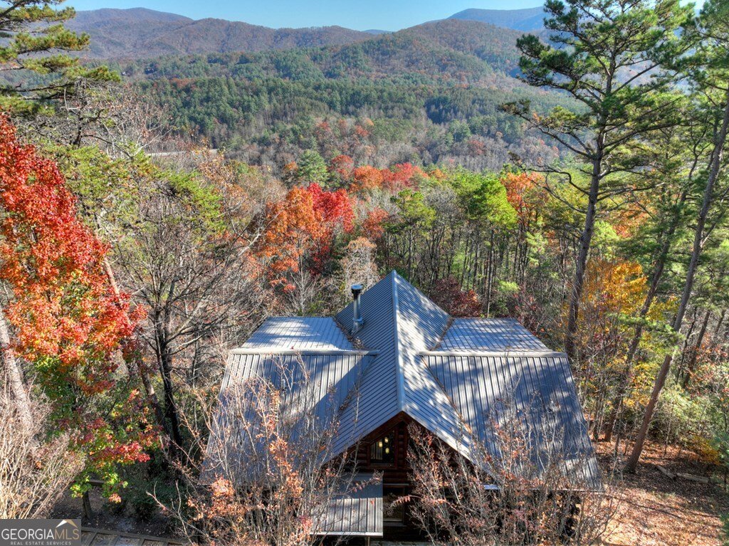 146 Rosiey Lane Blue Ridge - Photo 41