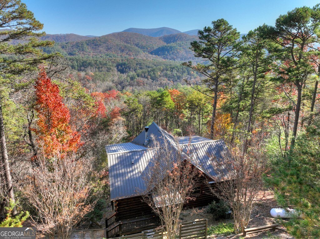 146 Rosiey Lane Blue Ridge - Photo 42