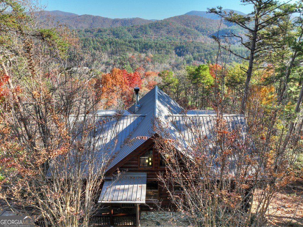 146 Rosiey Lane Blue Ridge - Photo 43