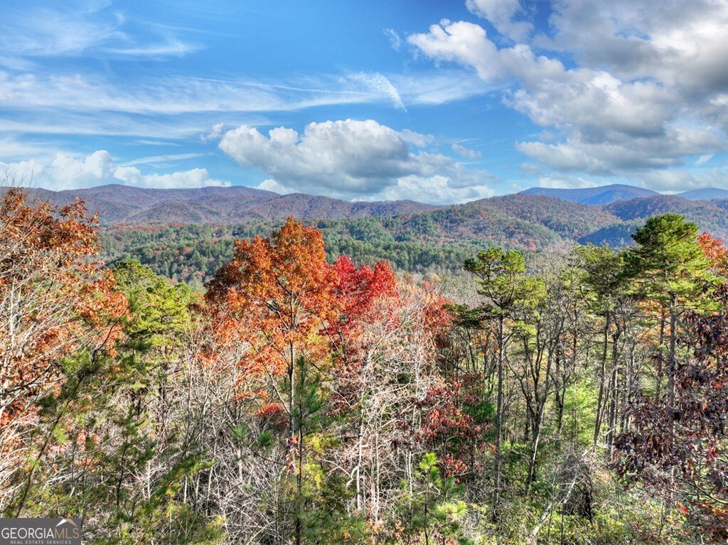 146 Rosiey Lane Blue Ridge - Photo 9