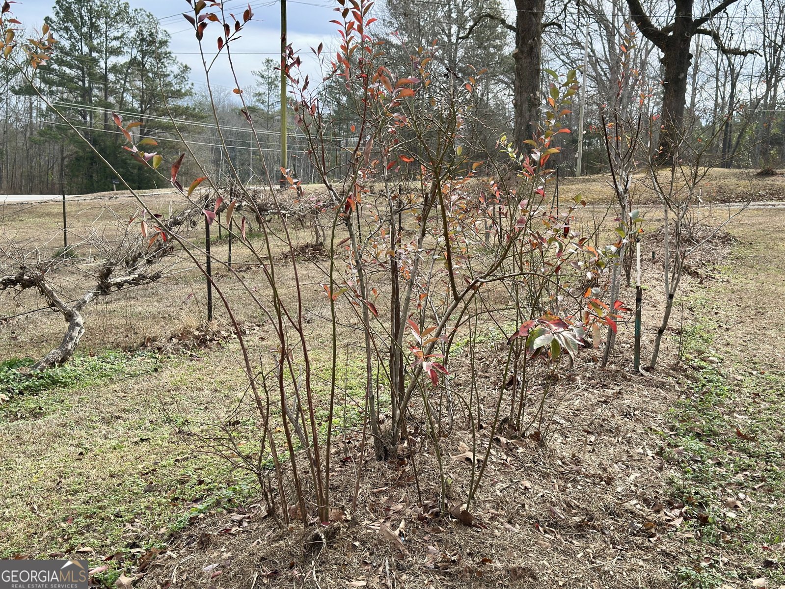 3232 Bevis Road Franklin - Photo 30