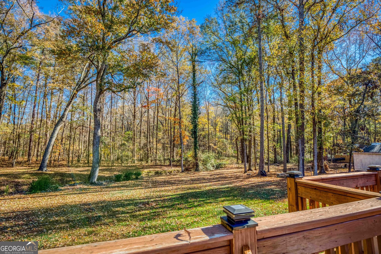 23 Woodland Road Auburn - Photo 27