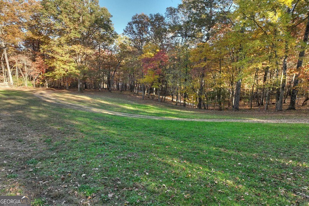 4011 Murphy Highway Mineral Bluff - Photo 35