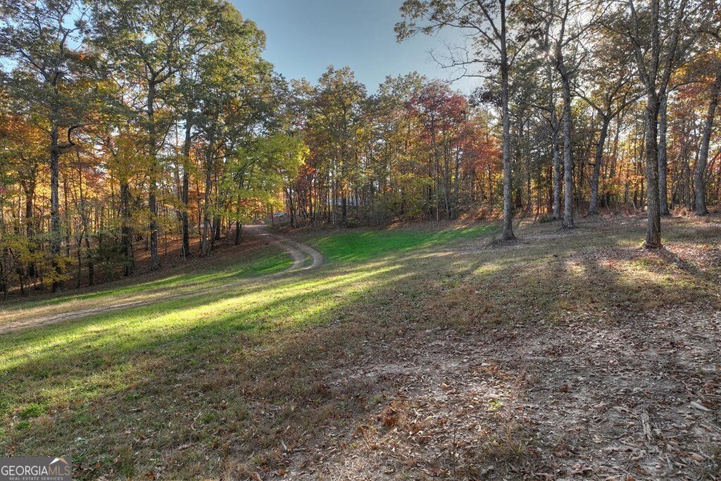 4011 Murphy Highway Mineral Bluff - Photo 43